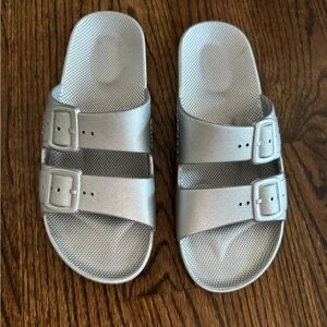 Freedom Moses slides